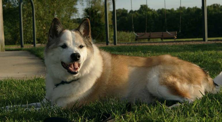 Coping With Grief – The Sad passing of Kodi Challender